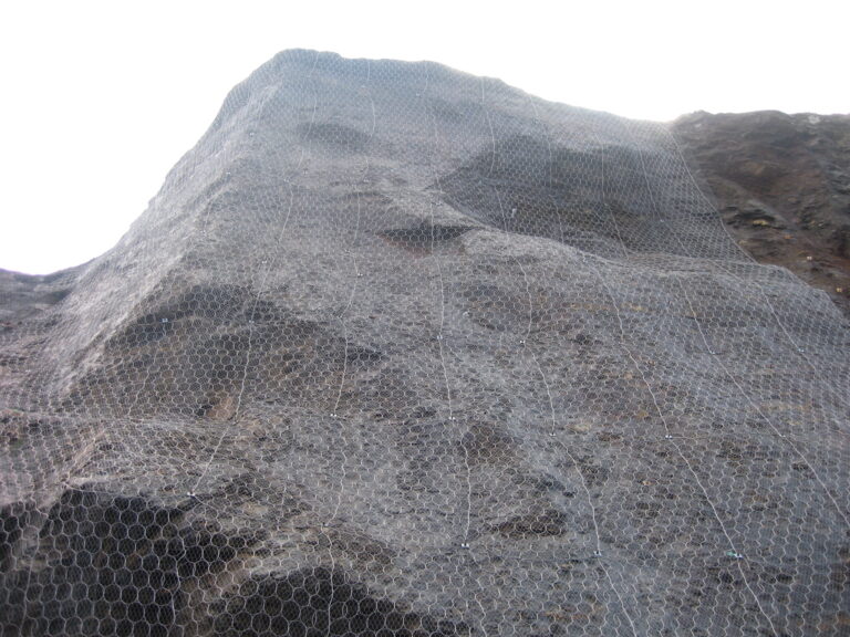 febrero 2010 foto 003